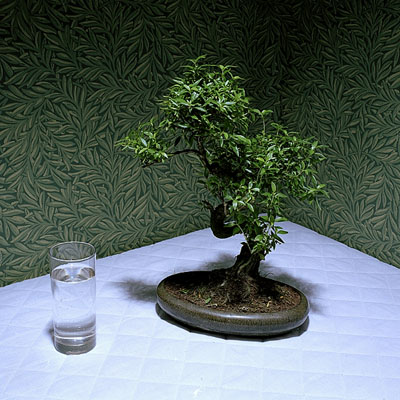 RCA Photography 2007 - Hyun-Ah Cho